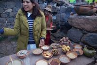 Verschiedene Kartoffeln und Getreide sowie Steine und Steinmehlbrei gegen Gastritis