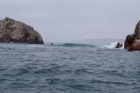 Wellengang Ballestas