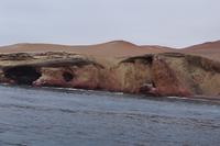 Paracas-Halbinsel 