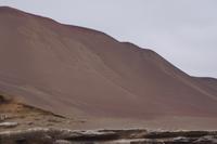 Der Armleuchter: El Candelabro, wahrscheinlich aber eine Darstellung des meskalinhaltigen San Pedro-Kaktus