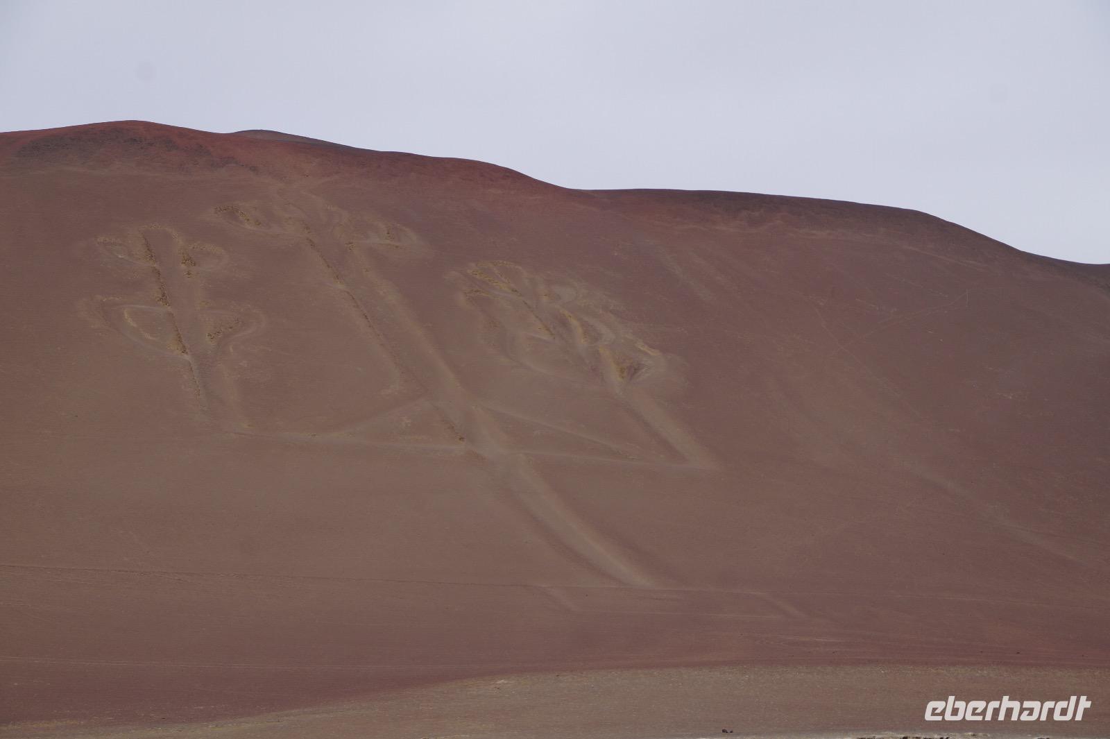 Der Armleuchter: El Candelabro, wahrscheinlich aber eine Darstellung des meskalinhaltigen San Pedro-Kaktus