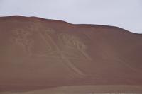 Der Armleuchter: El Candelabro, wahrscheinlich aber eine Darstellung des meskalinhaltigen San Pedro-Kaktus