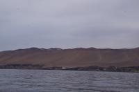 Paracas-Halbinsel: im Zentrum El Candelabro