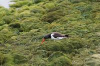 Er hat etwas gefunden