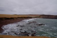 Paracas-Halbinsel: Playa Roja - roter Strand