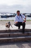 Zwei komische Vögel