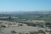 Das fruchtbare Nazcatal