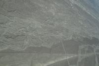 Erosionsrinnen, Nazca - Wie viel Geoglyphen denen wohl zum Opfer gefallen sind?