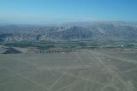 Nicht alle Nazcalinien sind gegenständlich