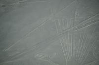Nazca: Der Schwanz des Kondors