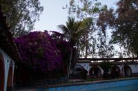 Hotelgarten Nazca bei Sonnenaufgang