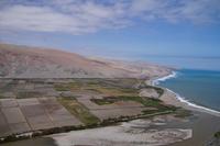 Reisfelder an der Mündung des Oxaña