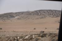 Wahlwerbung mit Büschen für die Regionalpräsidentschaft von Arequipa. 