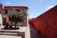 Convento de Santa Catalina 