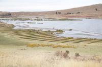 Kartoffeläcker zwischen Kanälen, das kanalisierte Seewasser speichert die Tageswärme und gibt sie in der Nacht ab
