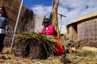 Wie eine Schilfinsel gebaut wird