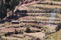 Beackerung einer der Taquile-Terrasen 