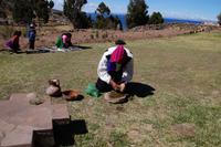 Shampoo-Herstellung aus Kraut