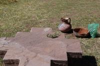 Das Kraut für die Shampoo-Herstellung