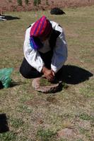 Shampoo-Herstellung aus Kraut