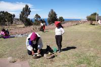 Waschen der fetten Schafswolle