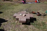 Schafswolle gesäubert und im Scherzustand