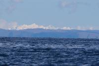 Cordillera Real (Königskordillere), auf der bolivianischen Seite des Titicaca-Sees