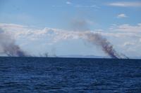 Die Uros verbrennen Schilf, um das Schilf besser nachwachsen zu lassen. 