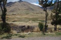 Geysir bei Aguas Calientes de la Raya