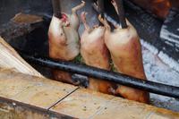 Die Gedärme wurden mit Kräutern eretzt