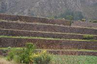 Terrassenwirtschaft im Heiligen Tal 