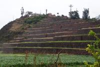 Terrassenwirtschaft im Heiligen Tal 