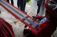 Arbeit mit dem Knochen: Homo Sapiens Turisticus