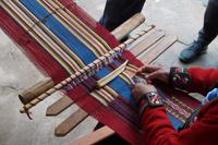 Knochen Homo Sapiens Turisticus