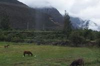 Blick zurück auf Ollantaytambo