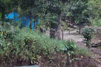 Dschungelbesiedlung zwischen Ollantaytambo und Aguas Calientes