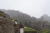 Hiram Bingham-Feeling - unplanbar 