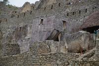 Sonnentempel Machu Picchu