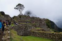 Abschied von Machu Picchu