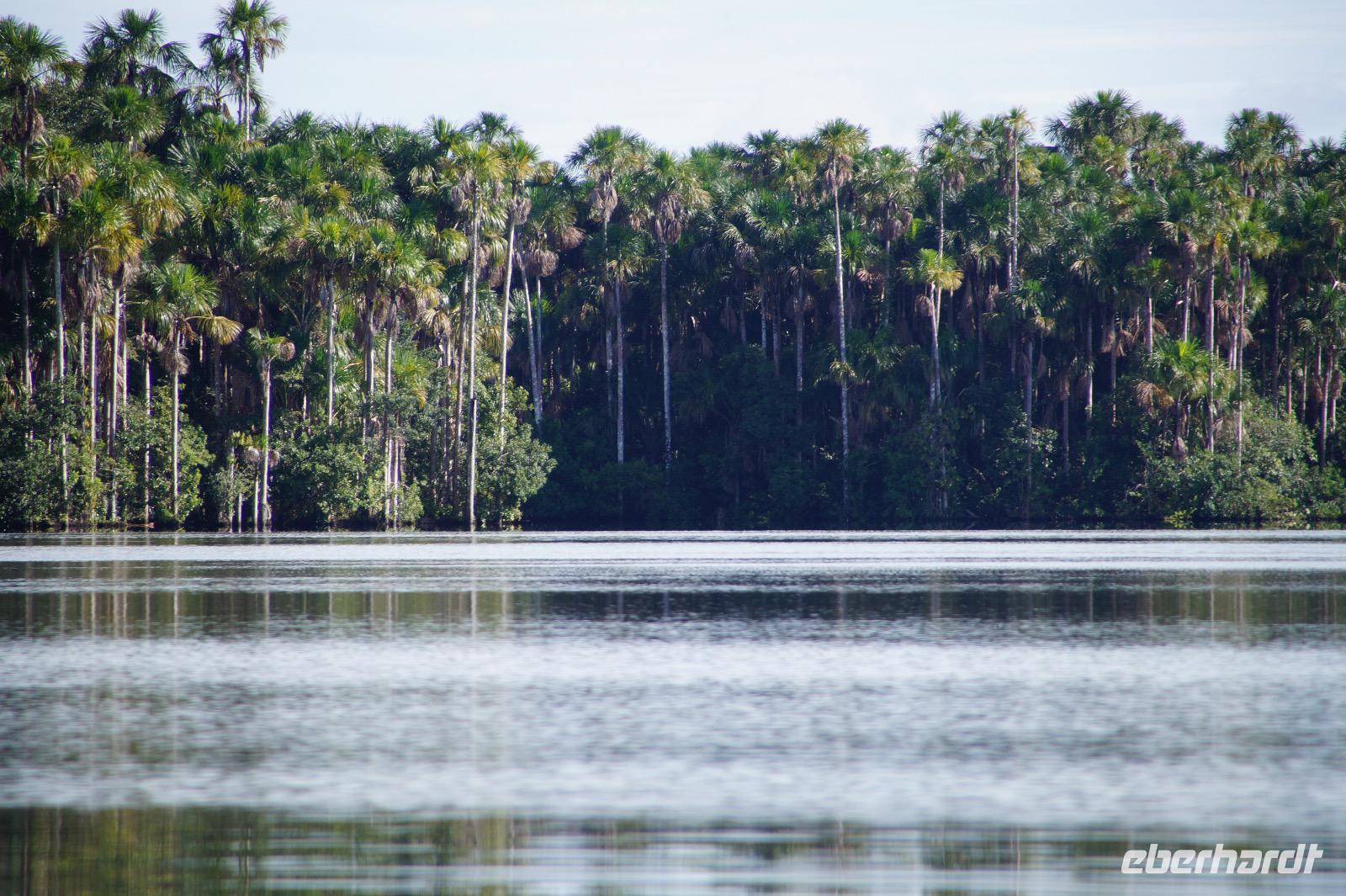 Lago Sandoval - der Sandoval-See