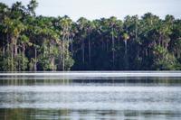 Lago Sandoval - der Sandoval-See