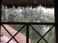 Regen!Wald - Aber das Palmenblattdach hält dicht 