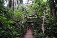 Noch ist der Weg trocken