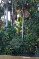 Am Lago Sandoval /Sandoval-See