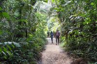 Wanderung im Regenwald