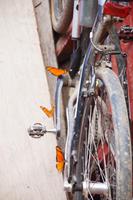 Was finden die Schmetterlinge nur an dem Rad?