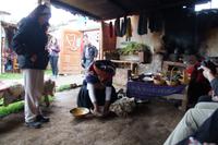 Weberei, Vorbereitung des Naturshampoos