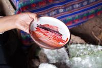 Verschiedene Farben aus der Cochinille, gemixt mit verschiedenen Naturstoffen