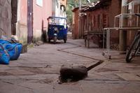 Die Regenrinne als Schlange ausgeführt - Pisac 