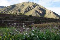 Terrassen bei Urco, Valle Sagrado (Heiliges Tal)